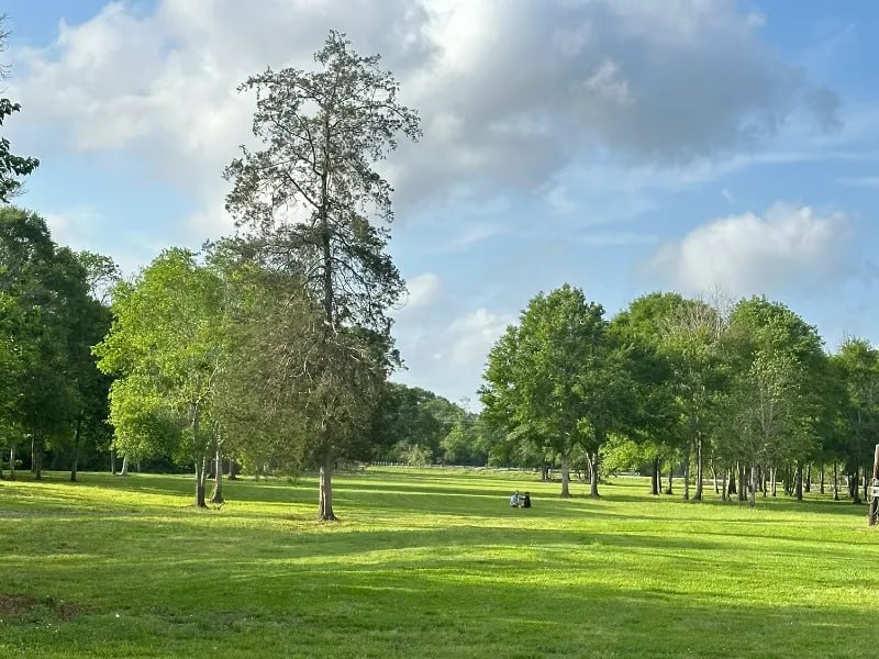 10 acres of green space at Uppity Pet Resort dog daycare in Alvin TX