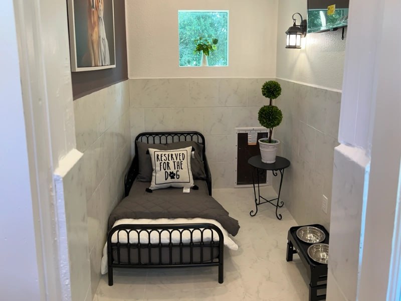 Luxury boarding suite with bed and natural light at Uppity Pet Resort