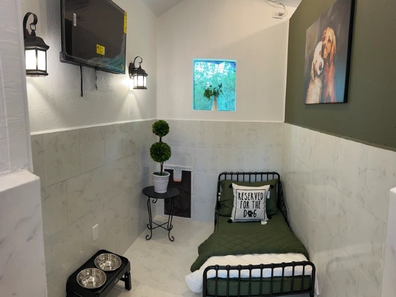 Green-themed luxury boarding room with bed, TV, lanterns, and dog portrait